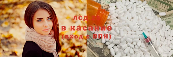 индика Алзамай