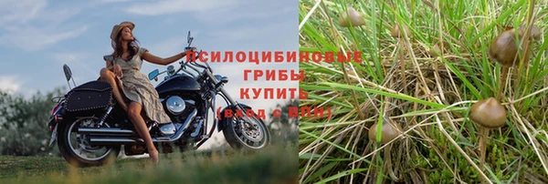 бутират Алексеевка