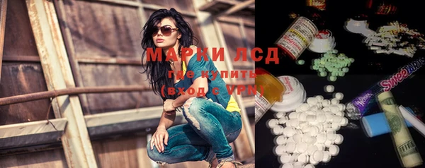 индика Алзамай